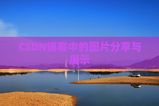 CSDN博客中的图片分享与展示